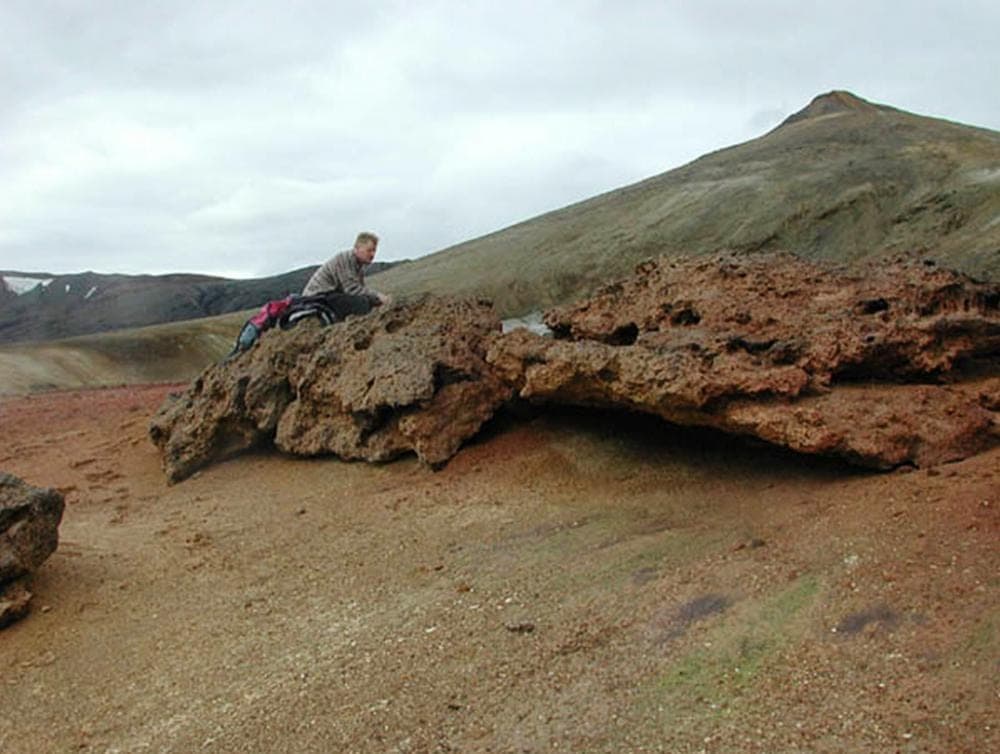 Jarðhitasvæði í Vonarskarði