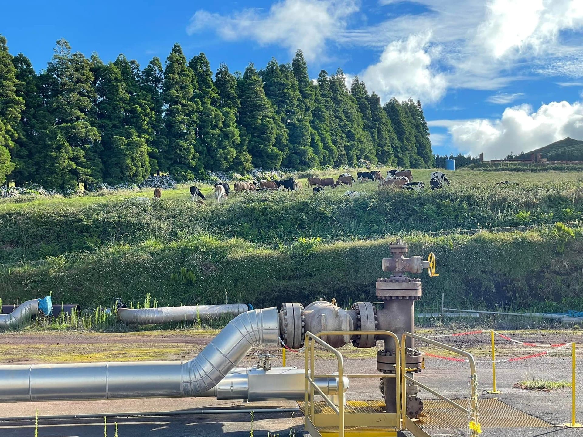 Borehole measurements on Terceira island