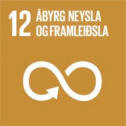 SDG 12: Responsible consumption and production SDG 12: Responsible consumption and production